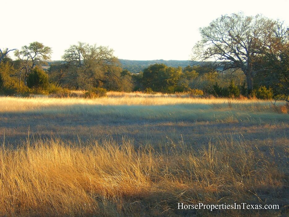 Texas Hill Country