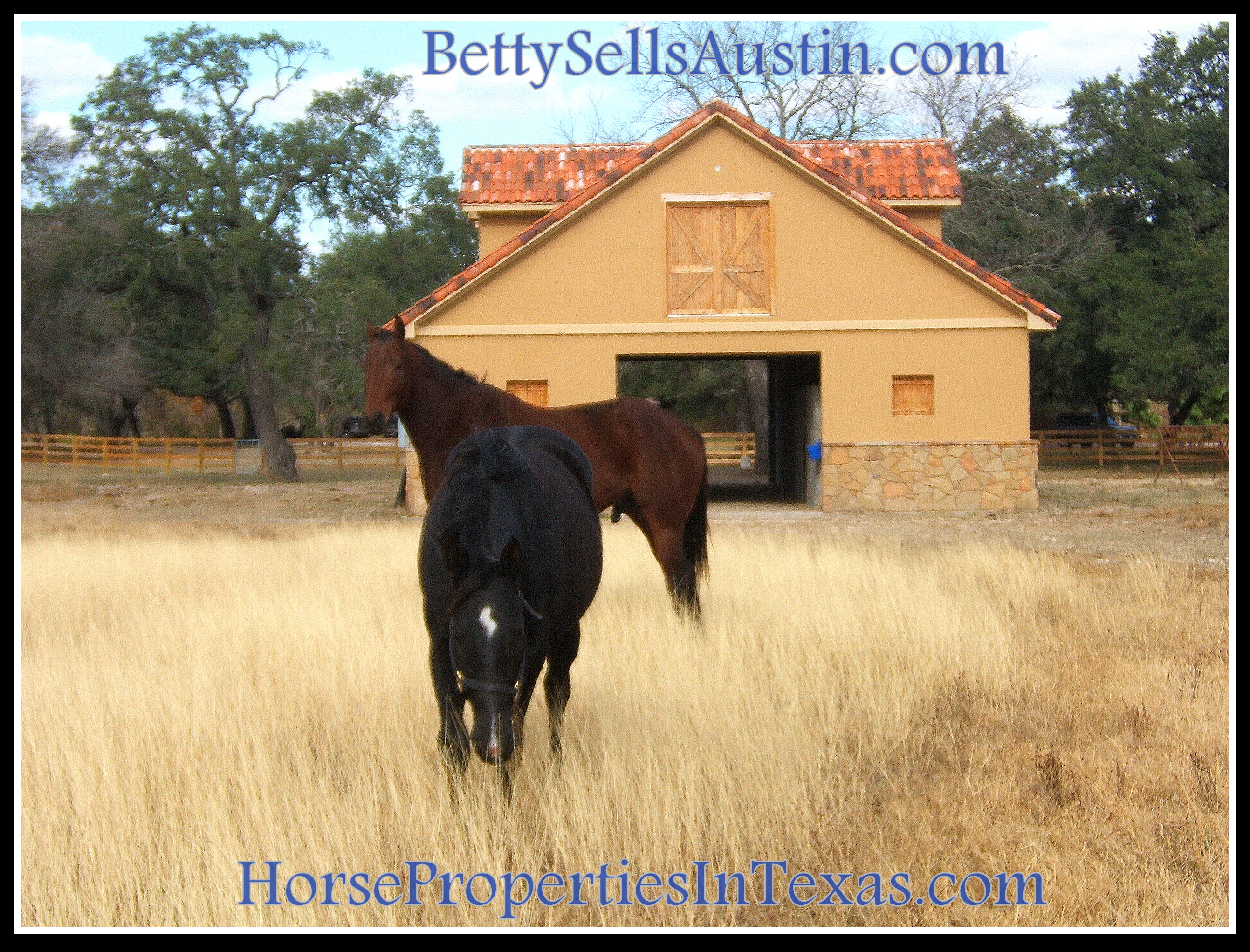 Austin Luxury Horse Properties Horse Properties in Texas