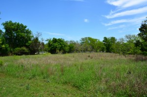 Home for sale in Fredericksburg TX - Pasture Home for sale in Fredericksburg TX