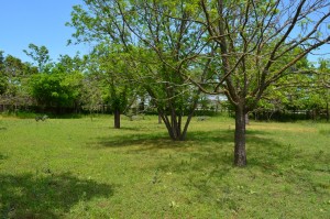 Home for sale in Fredericksburg TX original (7)