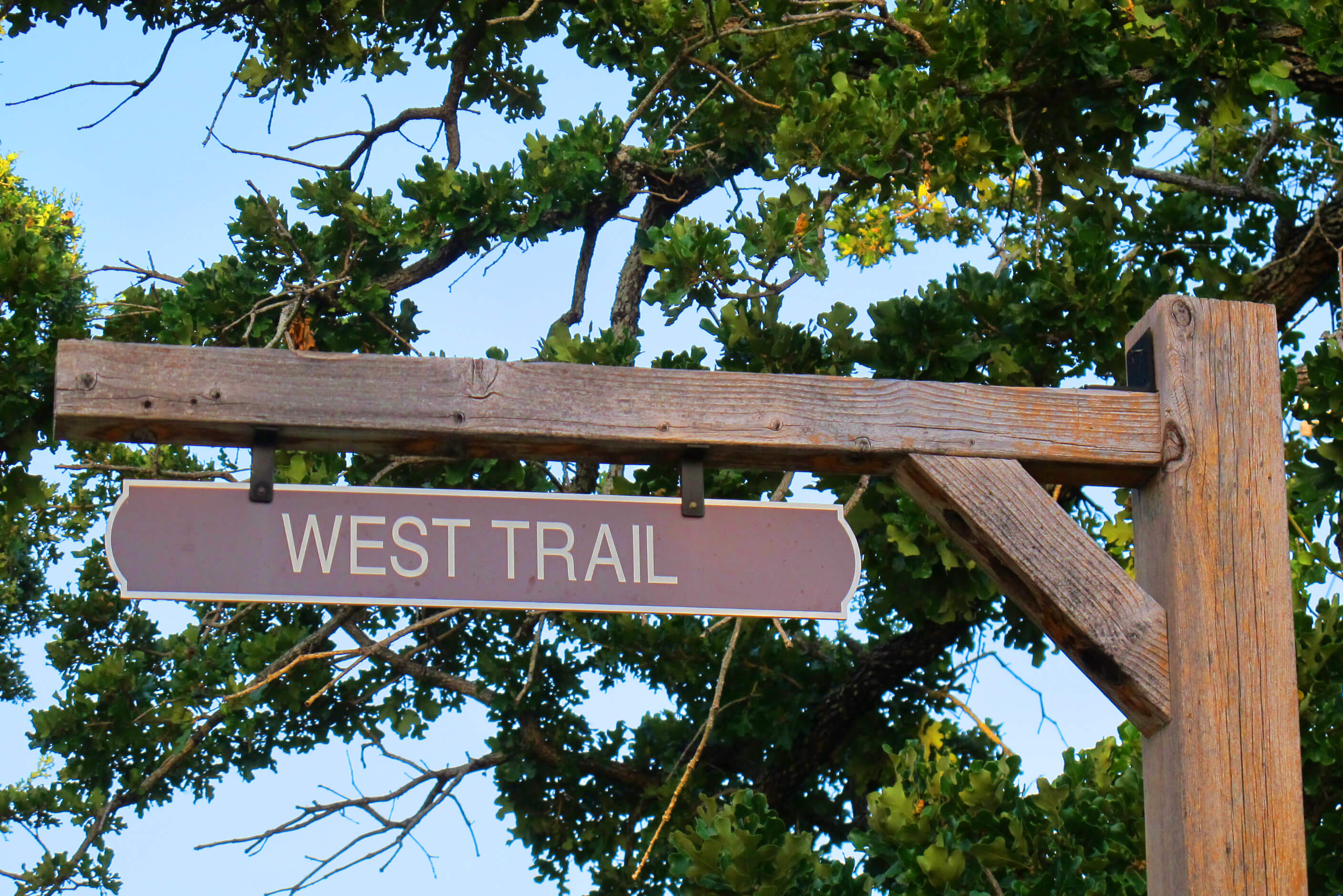 Double Horn Creek Spicewood TX 78669 Horse Properties in Texas